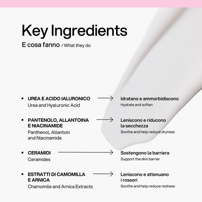 Crema Corpo Idratante Skin First, ingredienti chiave